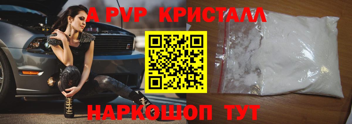 Alfa_PVP СК Новоалександровск