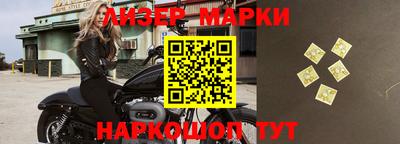 стафф Донской