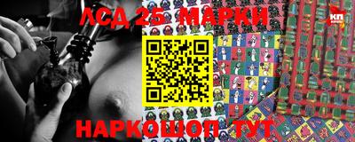 стафф Донской