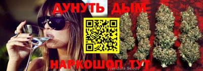 стафф Донской