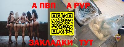 стафф Донской