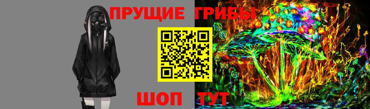 Новоалександровск  Галлюциногенные грибы прущие грибы  Вход с VPN  Псилоцибиновые грибы ЛСД 